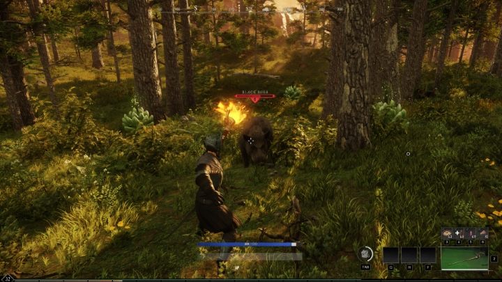 W New World dostępne są bronie dystansowe - New World: Walka - New World - poradnik do gry