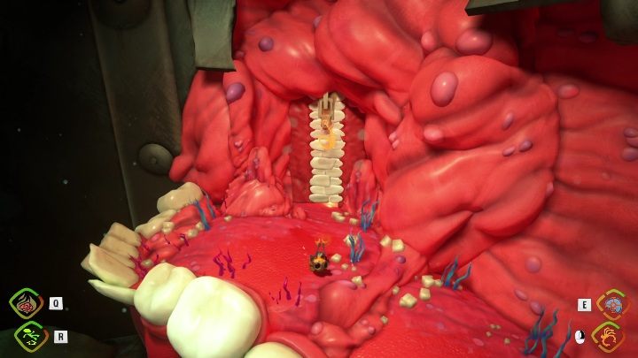 Lokalizacja: Trashcan - Psychonauts 2: Nuggets of Wisdom, Lobotos Labryinth - gdzie znaleźć? - Psychonauts 2 - poradnik do gry