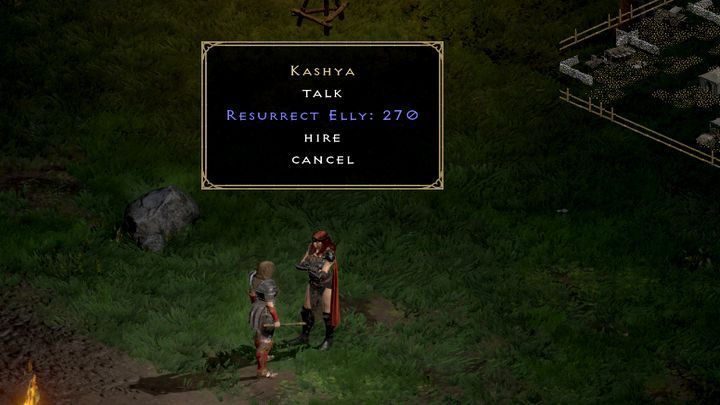 Możecie grać bez pomocy najemników, szczególnie jeśli gracie sieciowo - Diablo 2 Resurrected: Najemnicy - Diablo 2 Resurrected - poradnik do gry