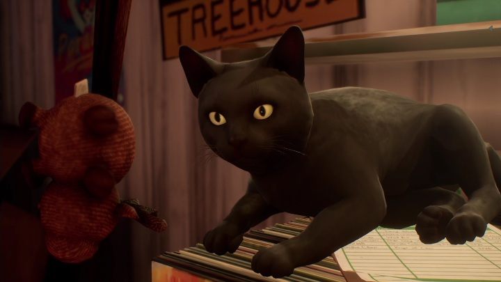 Z zabawką udajcie się do kota - Life is Strange True Colors: Sklep z winylami - solucja, opis przejścia - Life is Strange True Colors - poradnik do gry