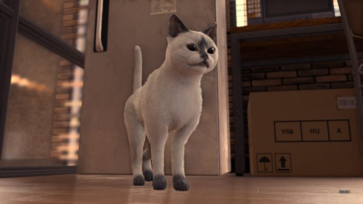 Kocie spotkania zostaną odblokowane podczas przechodzenia śledztwa pobocznego The Forbidden Taste - Lost Judgment: Koty - jak się zaprzyjaźnić? - Lost Judgment - poradnik do gry