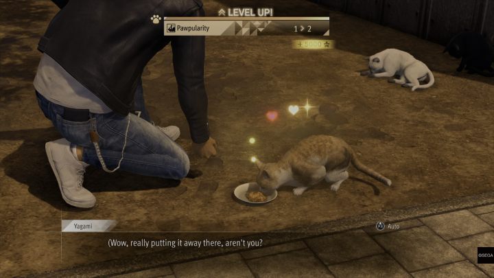 Pawpularity reprezentuje przyjaźń z okolicznymi kotami - Lost Judgment: Koty - jak się zaprzyjaźnić? - Lost Judgment - poradnik do gry