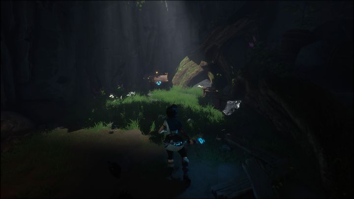 Za Wami znajduje się skrzynia z Beetle Hat oraz beczka z kryształami - Kena Bridge of Spirits: Help the Woodsmith - solucja, opis przejścia - Kena Bridge of Spirits - poradnik do gry