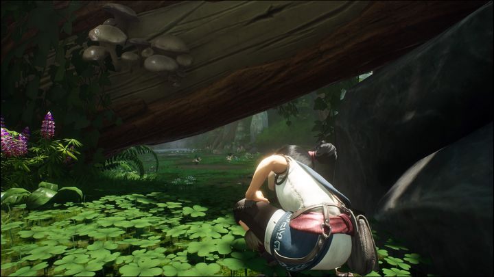 Pierwszym sposobem jest chodzenie pieszo - Kena Bridge of Spirits: Eksploracja - Kena Bridge of Spirits - poradnik do gry