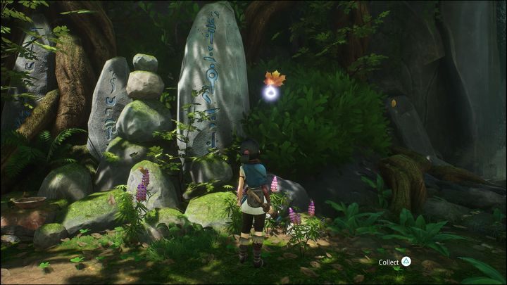 Pierwszy Rot pojawi się niedaleko kamieni, na których widoczne są zapisy runiczne - Kena Bridge of Spirits: Tutorial - solucja, opis przejścia - Kena Bridge of Spirits - poradnik do gry