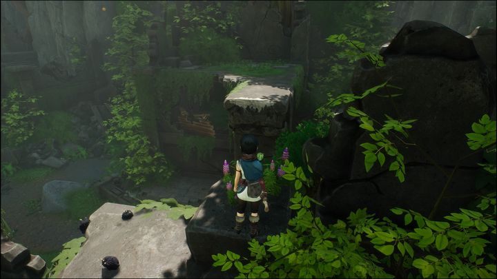 Następnie przeskoczcie na drugą stronę wzniesienia i udajcie się przed siebie - Kena Bridge of Spirits: Tutorial - solucja, opis przejścia - Kena Bridge of Spirits - poradnik do gry