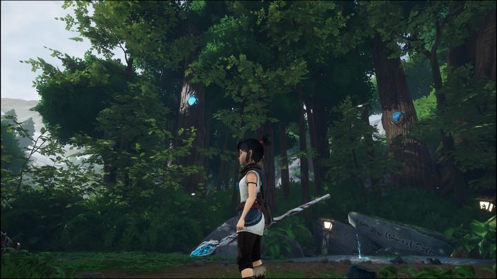 Natomiast po prawej stronie będziecie musieli strzelać w okoliczne kryształy, które znajdują się na drzewach - Kena Bridge of Spirits: Taros Regret - solucja, opis przejścia - Kena Bridge of Spirits - poradnik do gry