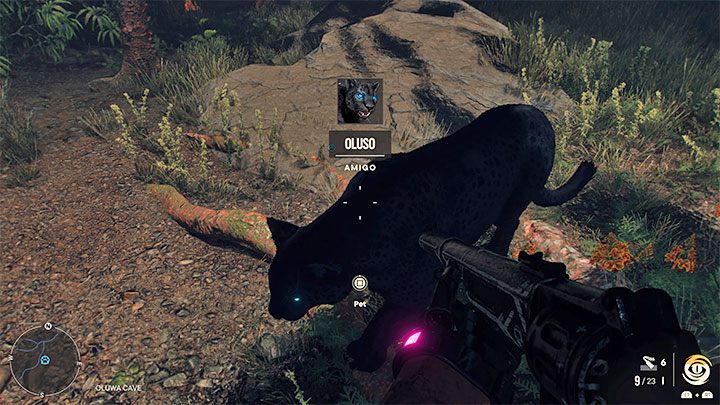 Po pokonaniu Oluso musicie wskrzesić pumę - Far Cry 6: Oluso - Amigo - Far Cry 6 - poradnik do gry