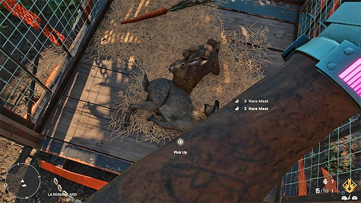 2) Jeśli nie macie nic przeciwko pozyskiwaniu mięsa zwierząt, to możecie otworzyć klatki z królikami i zacząć je eliminować (najlepiej od rau po otwarciu klatek, zanim się rozbiegną) lub podróżować wzdłuż linii brzegowej i rozglądać się za krokodylami - Far Cry 6: Prawo do imprezowania (Our Right to Party) - solucja, opis przejścia - Far Cry 6 - poradnik do gry