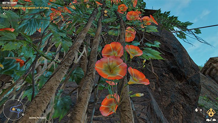 Inną nową mechaniką nieznaną z poprzednich głównych misji (choć pojawiającą się w opcjonalnych zadaniach) jest wspinanie się po lianach - Far Cry 6: Poznaj Legendy (Meet the Legends) - solucja, opis przejścia - Far Cry 6 - poradnik do gry