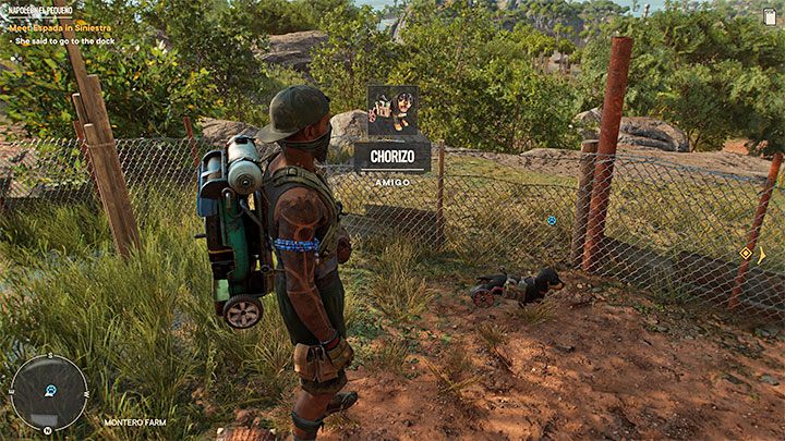W momencie ukończenia misji Aport jamnik stanie się Waszym Amigo i od tego momentu będzie dostępny do wyboru w menu petów - Far Cry 6: Chorizo - Amigo - Far Cry 6 - poradnik do gry