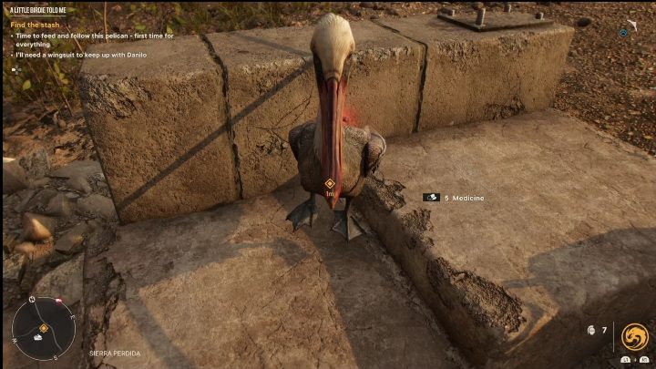 5 - Far Cry 6: Ptaszki ćwierkają - Wyprawy po skarby (El Este) - Far Cry 6 - poradnik do gry