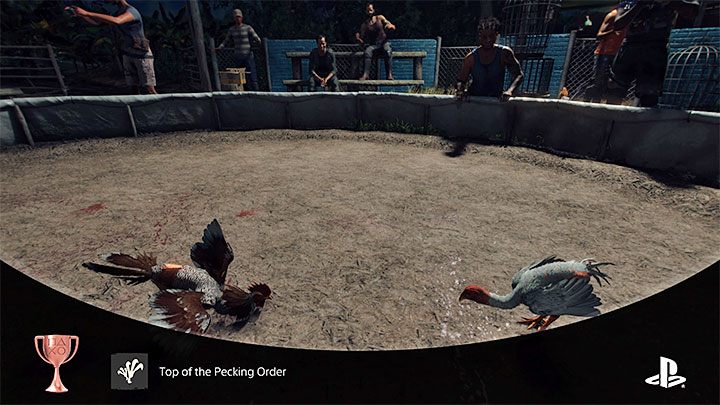 Sposób odblokowania: Wygraj walkę kogutów - Far Cry 6: Trofea/Osiągnięcia - lista - Far Cry 6 - poradnik do gry