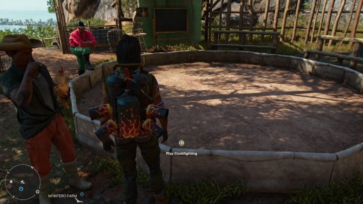 Walka kogutów jest krótka i dość łatwa, o ile nauczycie się sterowania - Far Cry 6: Mini-gry - domino i walki kogutów - Far Cry 6 - poradnik do gry