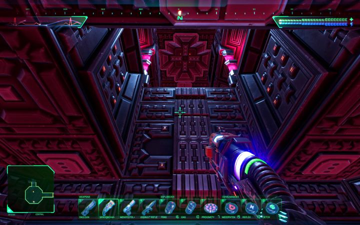 10 - System Shock Remake: Wszystkie czaszki Skully - System Shock Remake - poradnik do gry
