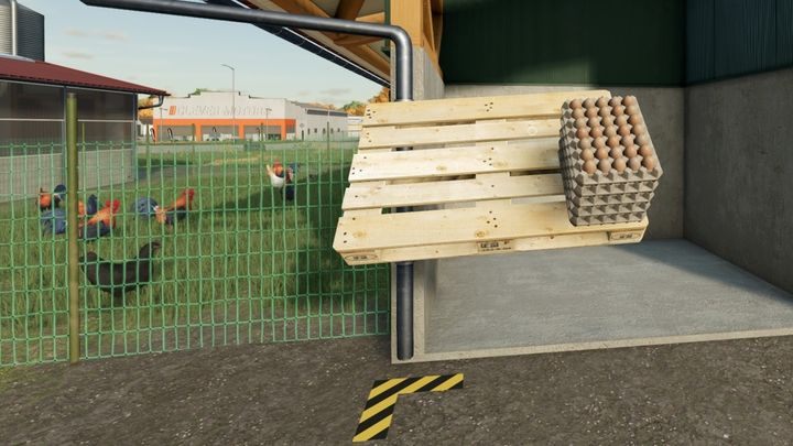 Jaja pojawiają się na paletach przed pastwiskiem, w przypadku kurnika - za budynkiem - Farming Simulator 22: Kury - hodowla, porady - Farming Simulator 22 - poradnik do gry
