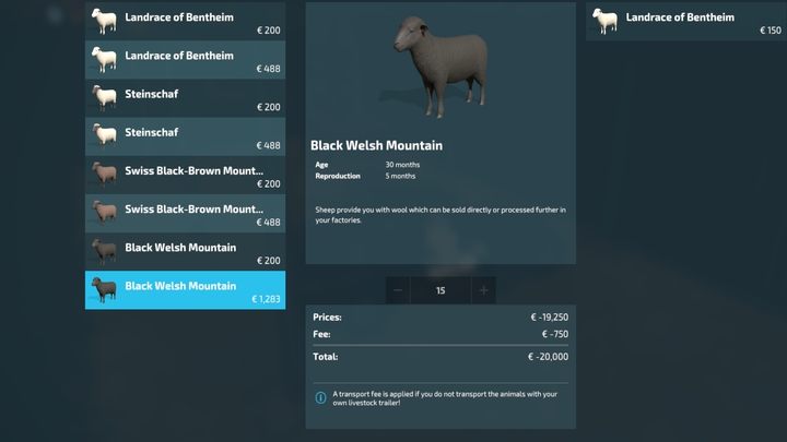 Owce, jak każde zwierzę, posiada wydajność i wymagania zależne od wieku - Farming Simulator 22: Owce - hodowla, porady - Farming Simulator 22 - poradnik do gry