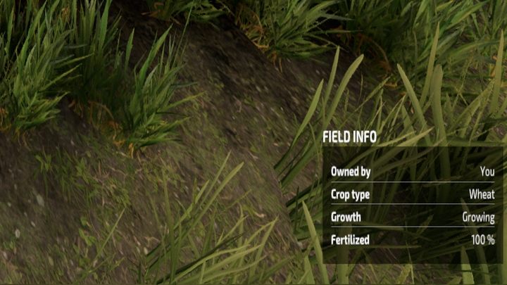 Stan pól możecie obserwować również podchodząc pieszo do pola i najeżdżając na nie kursorem. - Farming Simulator 22: Monitorowanie wzrostu - Farming Simulator 22 - poradnik do gry