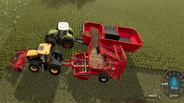 Po wykonaniu opcjonalnych prac pielęgnacyjnych, musicie tak samo jak w ziemniakach, ściąć łęciny, nim będziecie mogli wyciągnąć warzywa z ziemi - Farming Simulator 22: Ziemniaki i buraki - Farming Simulator 22 - poradnik do gry