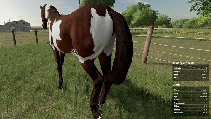 Po jeździe koń jest brudny - odpowiada za to parametr czystość (Cleanliness) - Farming Simulator 22: Konie - hodowla, porady - Farming Simulator 22 - poradnik do gry