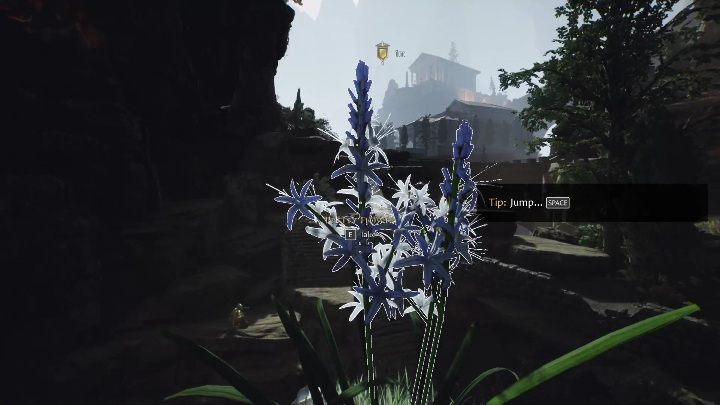 Wejdźcie na górę, zaczepcie sprzęt o linę i zacznijcie zjeżdżać - The Forgotten City: Galerius i Equitia - jak zacząć romans? - The Forgotten City - poradnik do gry