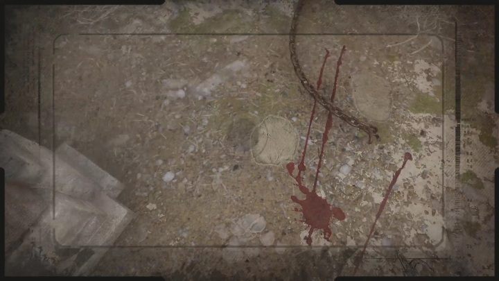 Zanim ruszycie się z tamtego miejsca, warto jeszcze zrobić zdjęcie dowodowe, na którym znajduje się ślad słonia i plama krwi - Sherlock Holmes Chapter One: Pozłacana klatka, miejsce zbrodni - solucja - Sherlock Holmes Chapter One - poradnik do gry