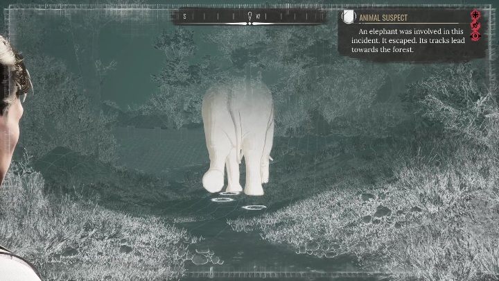 Dobrze jest dalej korzystać z trybu koncentracji, w ten sposób nie stracicie zwierzęcia z oczu i na pewno się nie zgubicie - Sherlock Holmes Chapter One: Pozłacana klatka, ucieczka słonia - solucja - Sherlock Holmes Chapter One - poradnik do gry