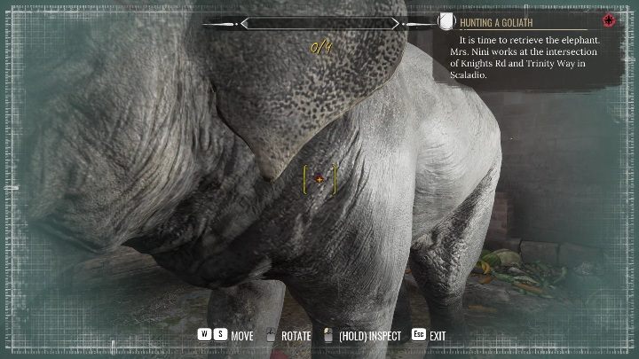 Gdy słoń już będzie w swoim bezpiecznym miejscu musicie mu się przyjrzeć - Sherlock Holmes Chapter One: Pozłacana klatka, odnalezienie Goliata - solucja - Sherlock Holmes Chapter One - poradnik do gry