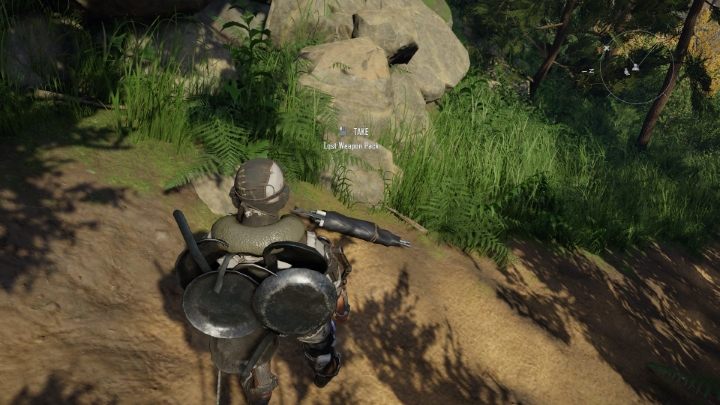 Teraz kierujcie się ścieżką w dół - Elex 2: Zaginiony konwój Kleryków (Carakis) - solucja, opis przejścia - Elex 2 - poradnik do gry