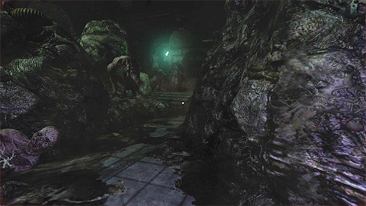 Wkroczycie do pomieszczenia z dużą liczbą śpiących potworów - Amnesia Rebirth: The Catacombs - solucja, sekrety - Amnesia Rebirth - poradnik do gry