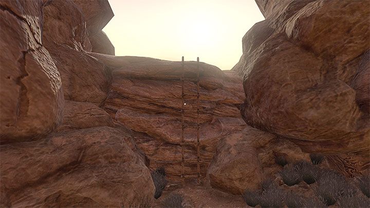 Po tym jak zaczniecie oddalać się od oazy z główną bohaterką skonaktuje się doktor i otrzymacie zadanie podążania za dymem, który ma doprowadzić bohaterkę do wioski - Amnesia Rebirth: The Oasis - solucja, sekrety - Amnesia Rebirth - poradnik do gry