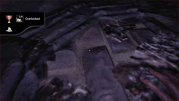 Sposób odblokowania: Uniknięto wzroku drapieżnika pozostając cicho w bezruchu (wyłącznie tryb Original Mode) - Amnesia Rebirth: Trofea i Osiągnięcia - lista wszystkich - Amnesia Rebirth - poradnik do gry