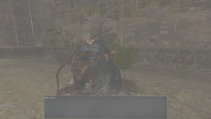 Aby je odblokować musicie pogłaskać psa - Kroniki Myrtany: Lista wszystkich osiągnięć - Kroniki Myrtany - poradnik do gry