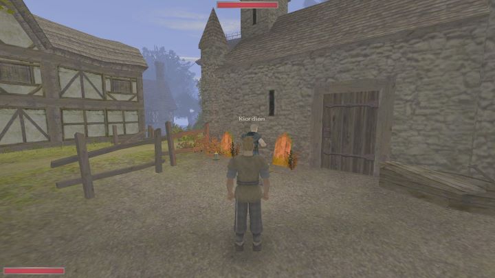 Gdy nowicjusz ponownie pojawi się na cmentarzu, porozmawiajcie z nim - Kroniki Myrtany: Sztuka pisania - solucja, opis przejścia - Kroniki Myrtany - poradnik do gry