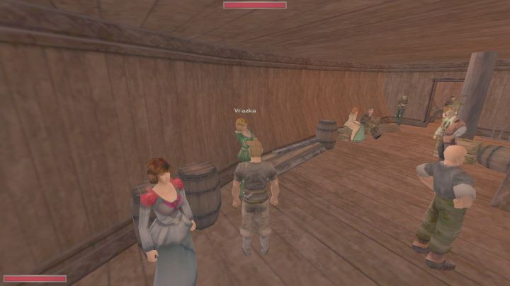 Kobieta poprosi Was o odnalezienie jej skrzyneczki, zabranej przez jednego z marynarzy - Kroniki Myrtany: Pod pokładem - solucja, opis przejścia - Kroniki Myrtany - poradnik do gry