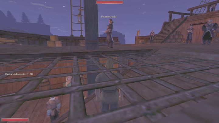 Jeżeli podejdziecie do kraty, oddzielającej górny pokład od dolnego, pod odpowiednim kątem będziecie mogli porozmawiać z przemytnikiem - Kroniki Myrtany: Pod pokładem - solucja, opis przejścia - Kroniki Myrtany - poradnik do gry