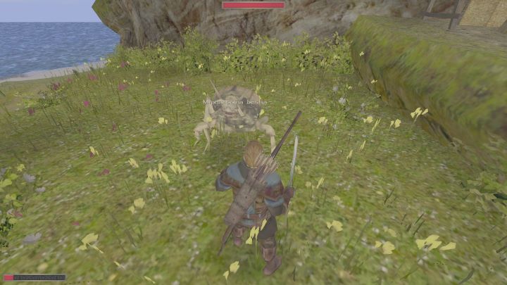 Walka jest ważna. - Kroniki Myrtany: Bronie - Kroniki Myrtany - poradnik do gry