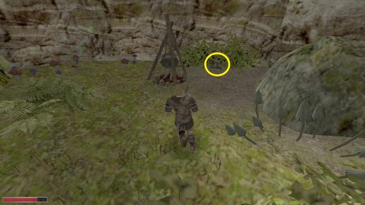 W krzakach jest skrzynia - Kroniki Myrtany: Zaginione składniki Bodowyna - solucja, opis przejścia - Kroniki Myrtany - poradnik do gry