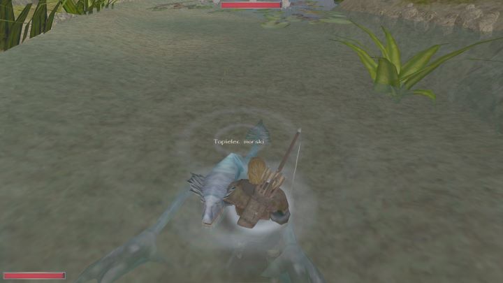 Skuteczną metodą na pokonanie zwierzęcia jest wejście do wody - Kroniki Myrtany: Walka - Kroniki Myrtany - poradnik do gry