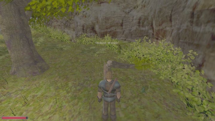 Żaden kucharz nie obejdzie się bez mięsa, które jest potrzebne w wielu przepisach - Kroniki Myrtany: Crafting - Kroniki Myrtany - poradnik do gry