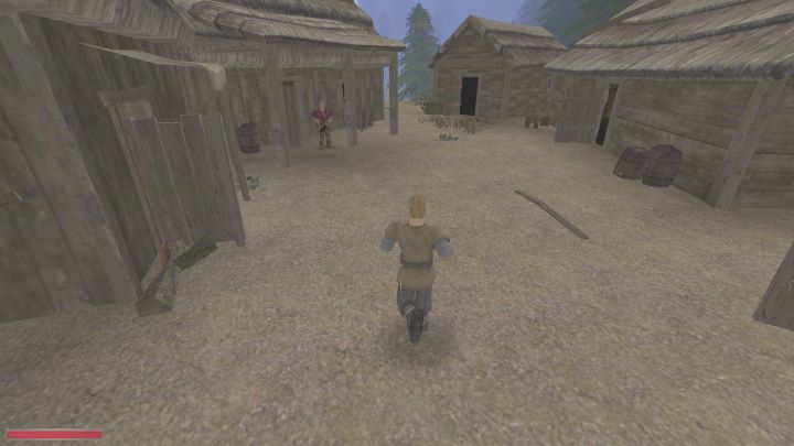 Po krótkiej rozmowie pójdziecie wspólnie porozmawiać z Jornem - Kroniki Myrtany: W poszukiwaniu azylu - solucja, opis przejścia - Kroniki Myrtany - poradnik do gry