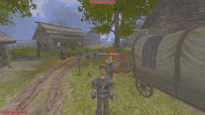 O ile gońcy Araxos poruszają się po lądzie, tak przewoźnicy oferują podróż łodzią - Kroniki Myrtany: Szybka podróż - jak się przemieszczać? - Kroniki Myrtany - poradnik do gry