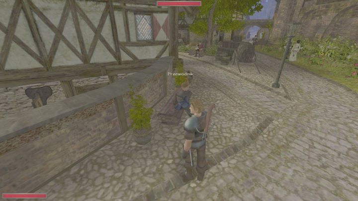 Przewodnicy to forma podróży zarezerwowana dla miasta Archolos - Kroniki Myrtany: Szybka podróż - jak się przemieszczać? - Kroniki Myrtany - poradnik do gry