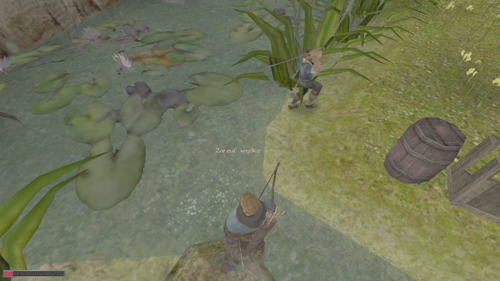 Kolejnym krokiem podróży jest podejście do dużego drzewa - Kroniki Myrtany: Oporny uczeń - solucja, opis przejścia - Kroniki Myrtany - poradnik do gry