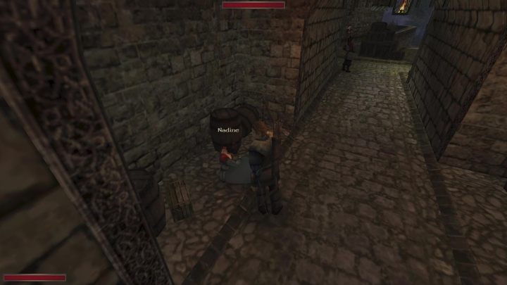 Naprzeciwko wejścia do lochów siedzi kobieta o imieniu Nadine - Kroniki Myrtany: Uprowadzona - solucja, opis przejścia - Kroniki Myrtany - poradnik do gry