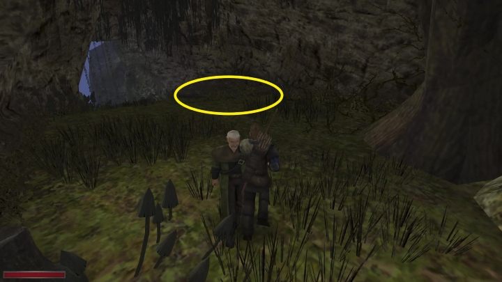 Podejdźcie do dziury w ziemi i skoczcie do niej - Kroniki Myrtany: Zakopane skarby - solucja, opis przejścia - Kroniki Myrtany - poradnik do gry