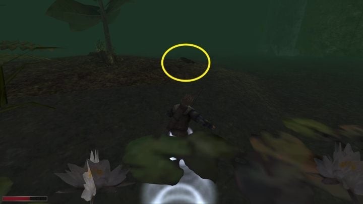 Po przeszukaniu martwego przemytnika od razu skręćcie w prawo (mając za plecami jaskinię) - w bagno - Kroniki Myrtany: Starzy znajomi - solucja, opis przejścia - Kroniki Myrtany - poradnik do gry