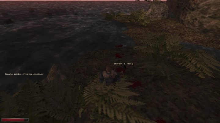 Jeden z worków z rudą leży na brzegu - Kroniki Myrtany: Starzy znajomi - solucja, opis przejścia - Kroniki Myrtany - poradnik do gry