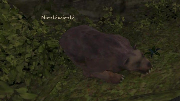 2 - Kroniki Myrtany: Bestiariusz - lista wszystkich potworów - Kroniki Myrtany - poradnik do gry