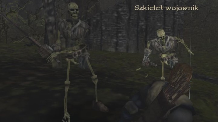 8 - Kroniki Myrtany: Bestiariusz - lista wszystkich potworów - Kroniki Myrtany - poradnik do gry